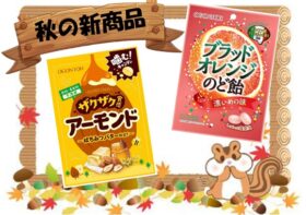 新商品発売💕